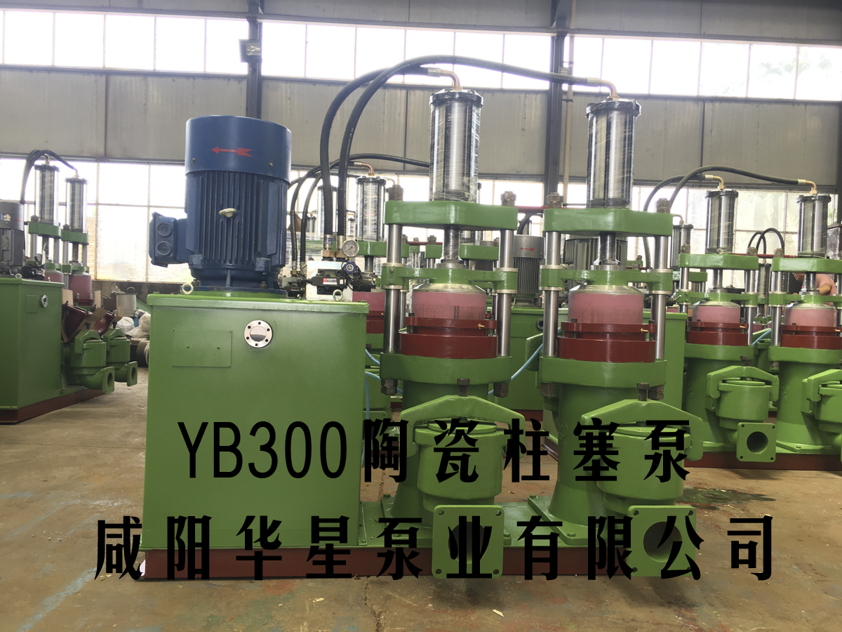 YB300-30壓濾機(jī)專用泵